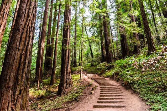 Hiking trails bay area thrash kevin getty