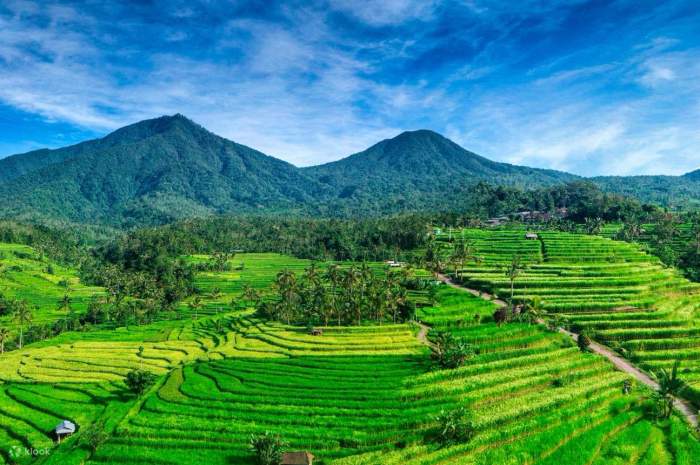 Jatiluwih terraces tabanan penebel